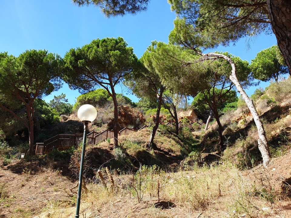 Strand PortoBay Falésia
