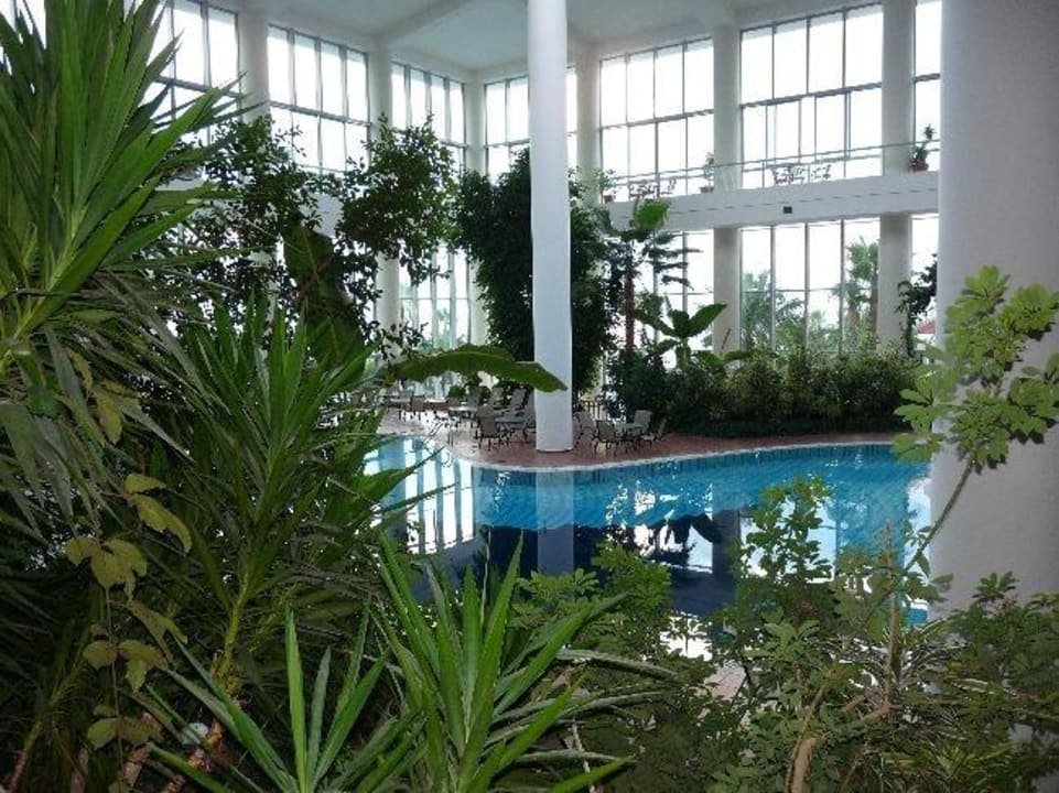 Kryty basen Hotel Pine Bay Holiday Resort