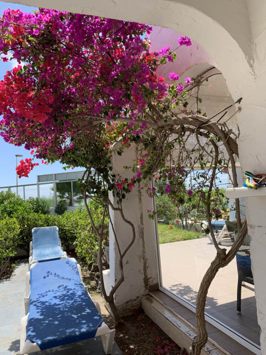Gartenanlage Sahara Beach Club