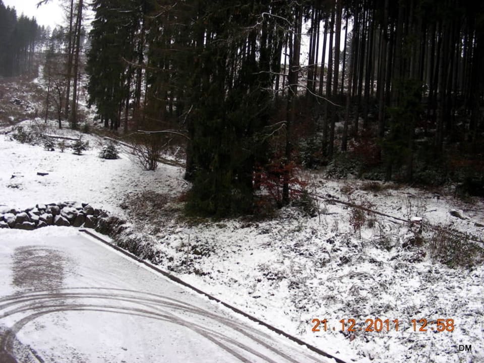 Ausblick vom Wasserbettzimmer Waldhotel Ehrental