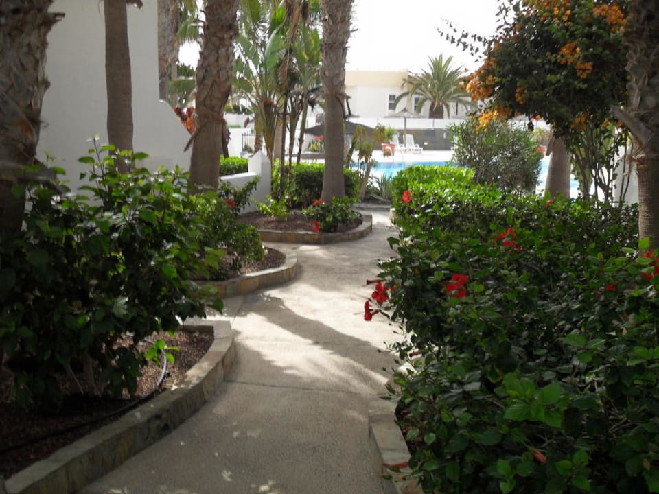 Gartenanlage Bahia Calma Beach