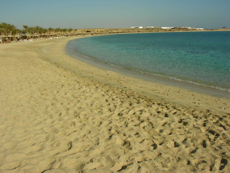 Widok plaży Malikia Resort Abu Dabbab