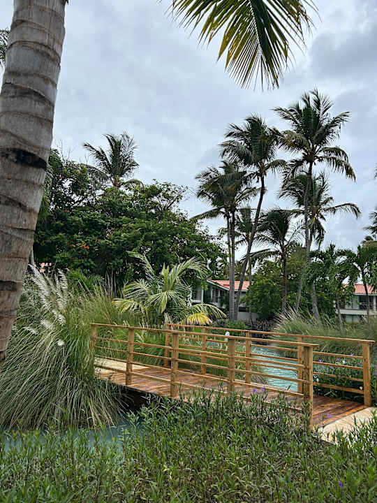 Gartenanlage Dreams Flora Resort & Spa - All Inclusive