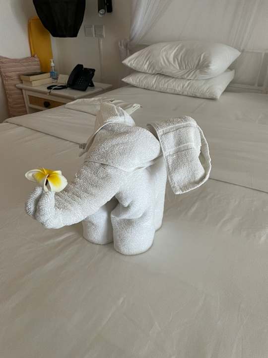 Zimmer Tropical Attitude - Adults only