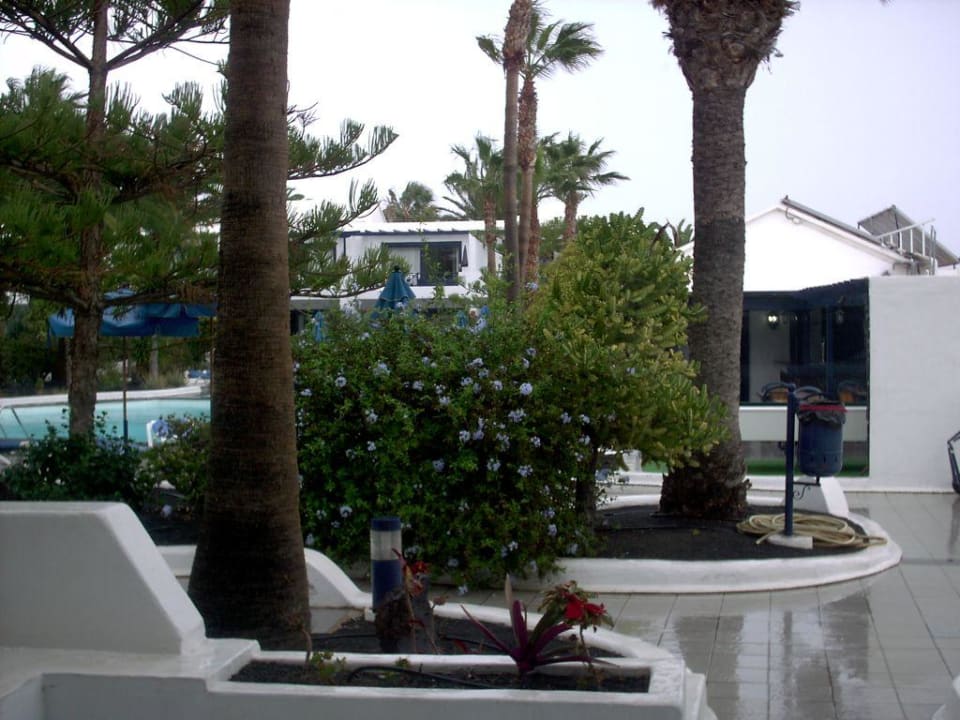 Blick von der Terrasse Bungalows & Appartements Playamar