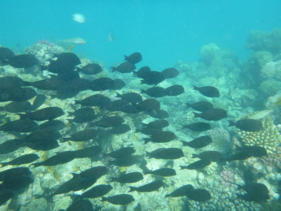 Sport & Freizeit Hotel Titanic Palace