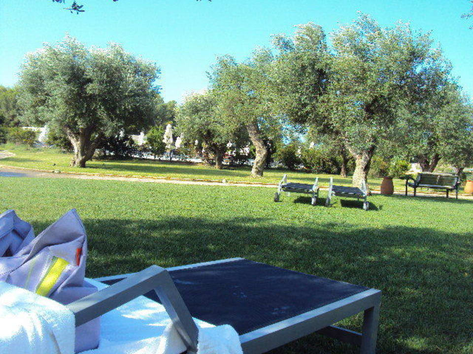 Im Schatten der Olivenbäume Vivosa Apulia Resort