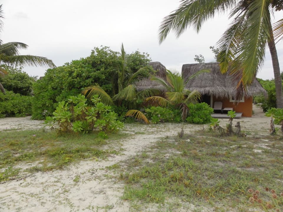 Garden Bungalow Kuredu Kuredu Island Resort & Spa