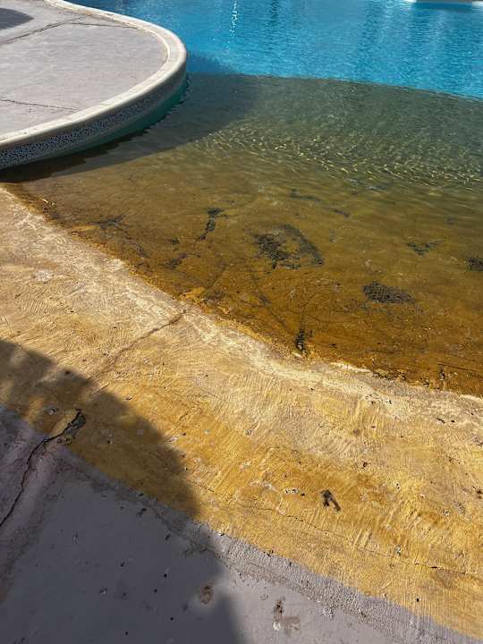 Pool Beach Safari Nubian Resort