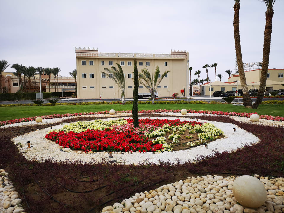 Gartenanlage Beach Albatros Resort