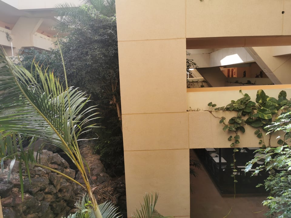 Ausblick Hotel Beatriz Playa & Spa