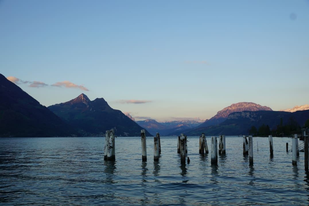 Ausblick Seerausch Swiss Quality Hotel