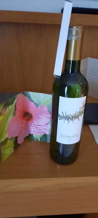 Zimmer Grupotel Playa de Palma Suites & Spa