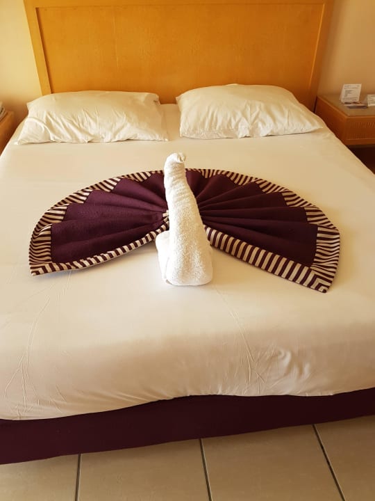 Jeden Tag ein anderes schönes  Motiv  Hotel JAZ Makadi Star & Spa