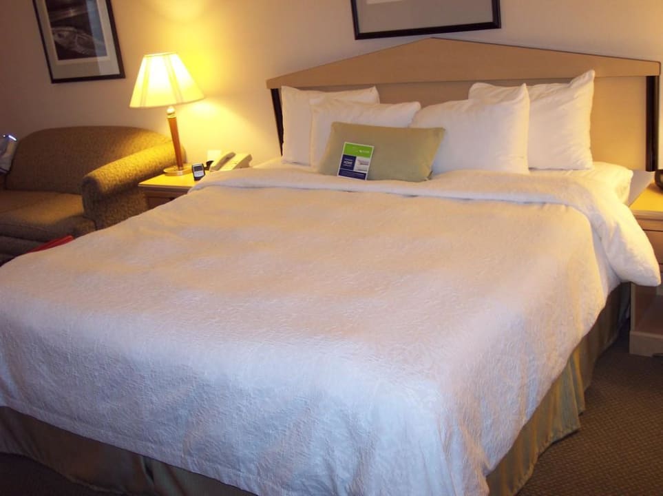 Super bequemes Bett Hotel Hampton Inn San Francisco Airport