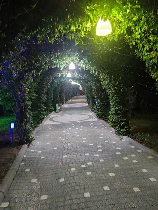 Gartenanlage Dream Family Club