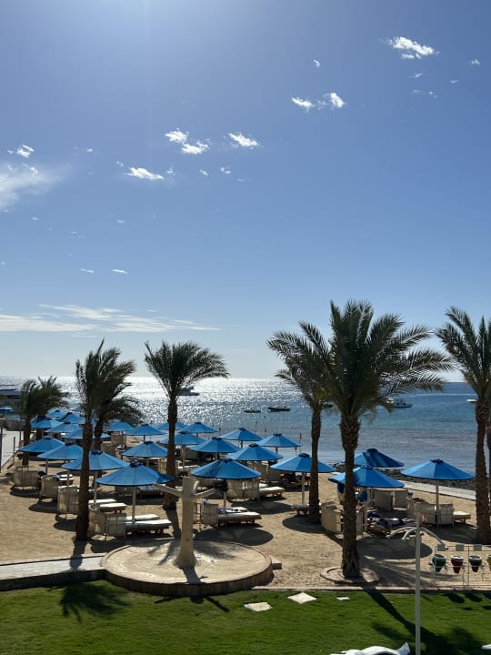 Ausblick Beach Albatros Resort