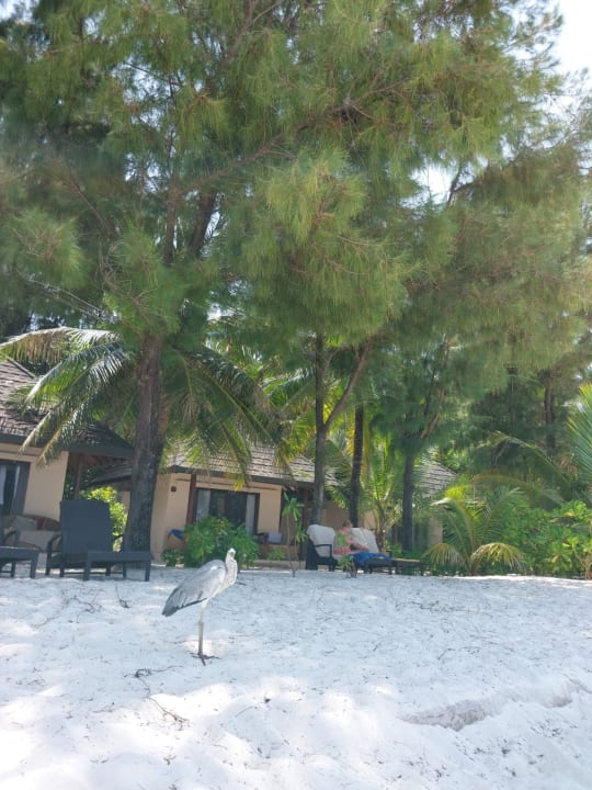 Außenansicht Summer Island Maldives