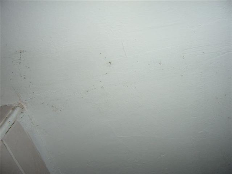 Schimmel Botanik Hotel & Resort