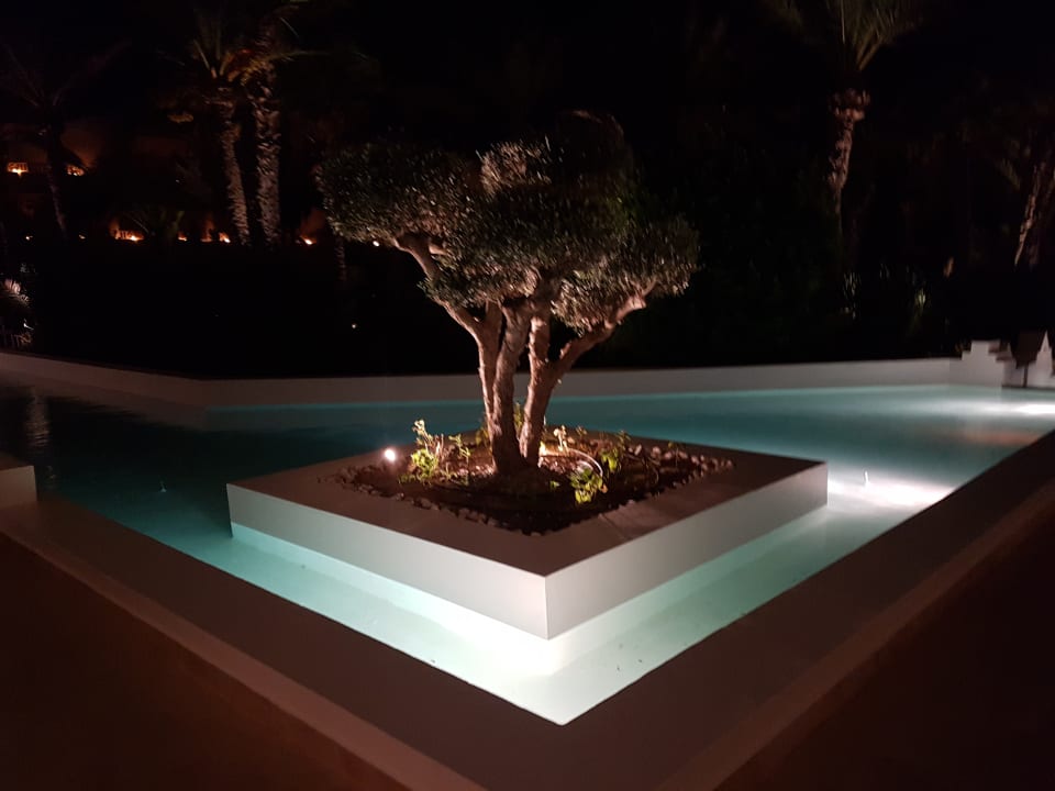 Gartenanlage Radisson Blu Palace Resort & Thalasso Djerba