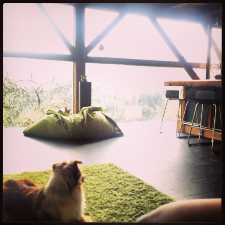 Wohnzimmer & Küchen mit Panoramablick LUXGUT - OLIVIA