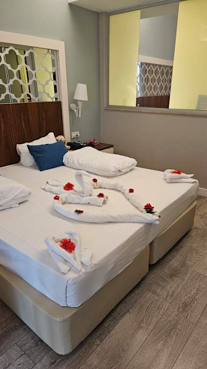 Zimmer Seashell Vega