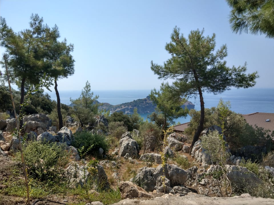 Ausblick TUI BLUE Seno - Adults Only