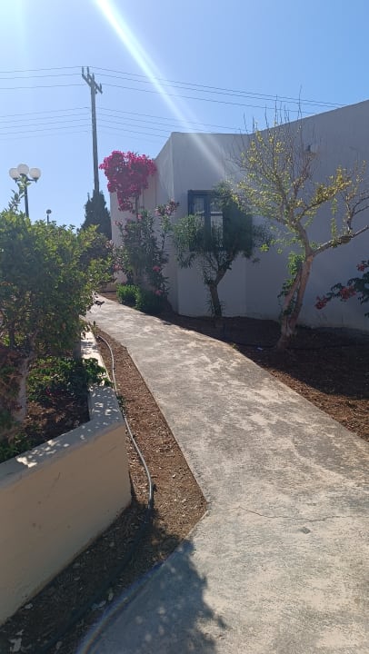 Gartenanlage TUI SUNEO Chrissi Amoudia