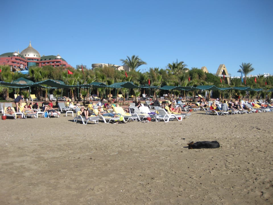 Über 20 Grad in der Sonne Limak Lara Deluxe Hotel & Resort