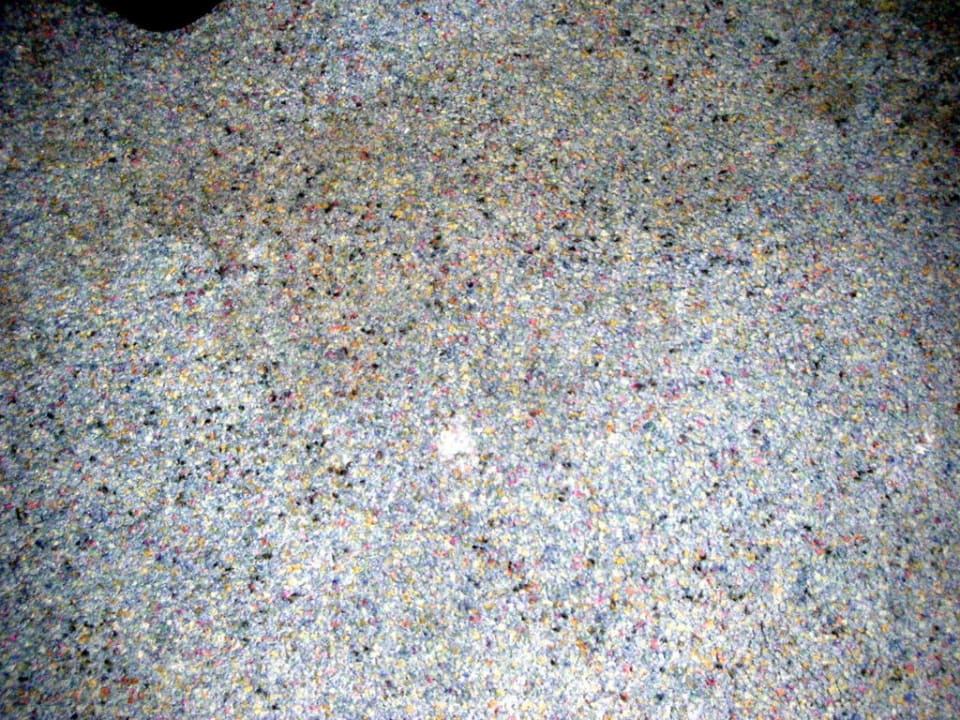 Verschmutzter Teppichboden VCH Hotel Greifswald