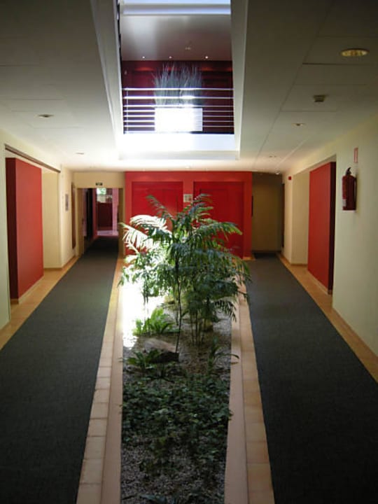 Pflanzenbeet im Flur  allsun Hotel Illot Park