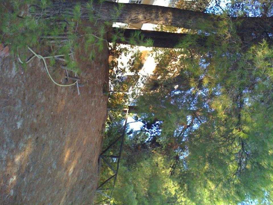 Meerseite des Hotels Hotel Dryades