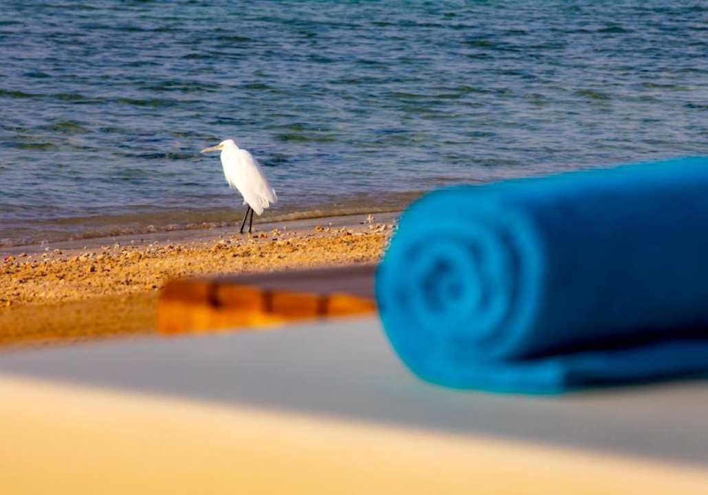 Strand AJIRA Resort Sahl Hasheesh