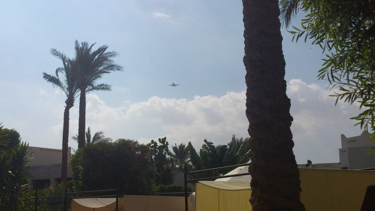 Neue Gäste im Anflug Ghazala Gardens