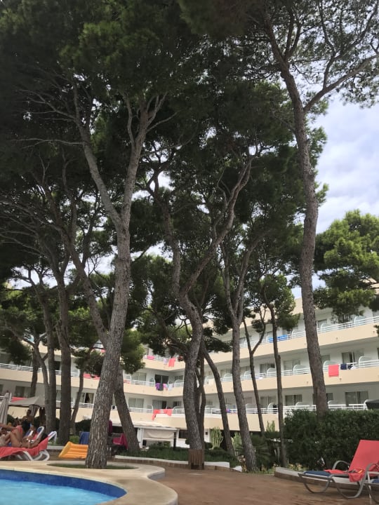 Sonstiges Hotel & Spa S'Entrador Playa