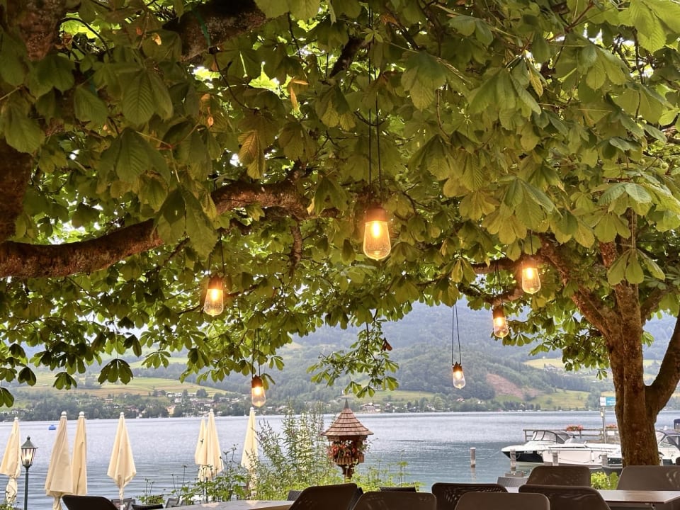 Ausblick Hotel Stadler am Attersee