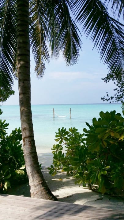 Die Hängematte im Wasser Summer Island Maldives