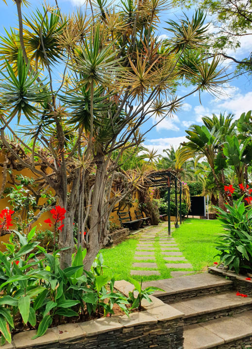 Gartenanlage Hotel Tigaiga