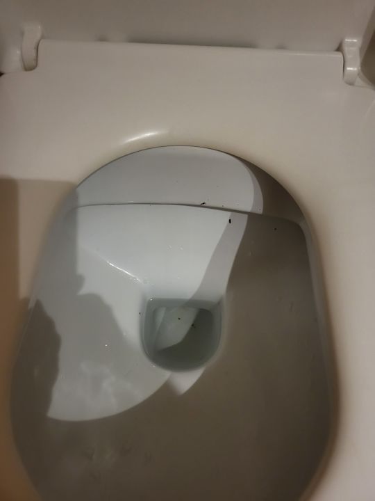 Zimmer Corissia Beach Hotel