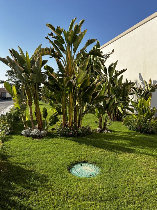 Gartenanlage Steigenberger Resort Alaya Marsa Alam - Red Sea - Adults only