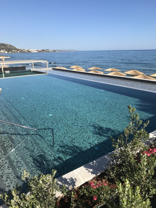 Pool Cactus Mare - Adults only