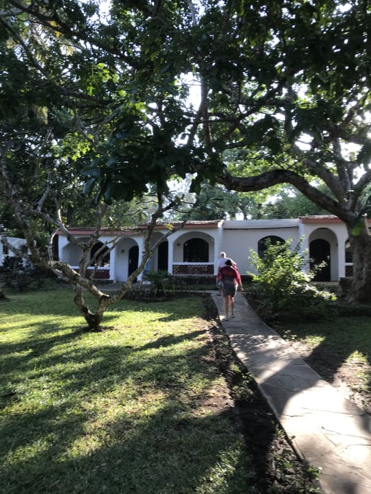 Gartenanlage Hotel Diani Sea Lodge