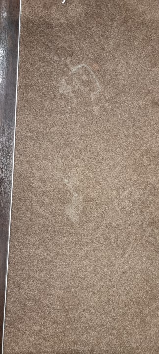 Zimmer Flemings Hotel Wien-Stadthalle