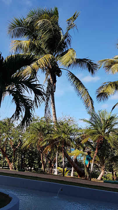 Gartenanlage Sirenis Tropical Varadero
