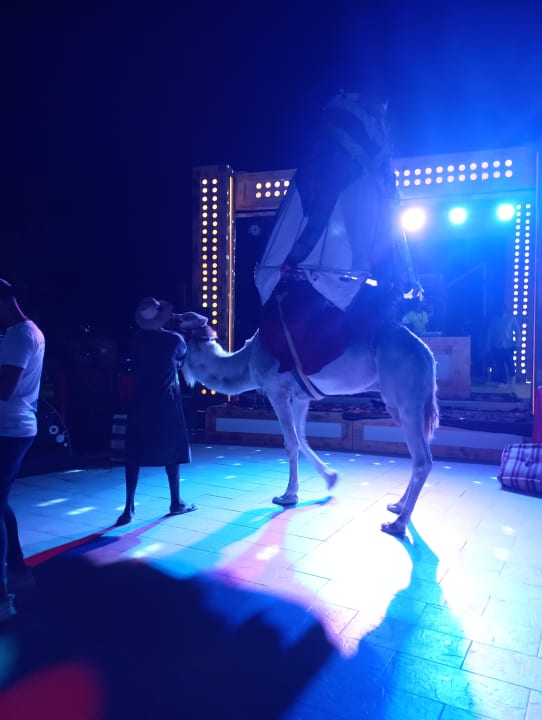 Sport & Freizeit Welcome Meridiana Djerba Hotel