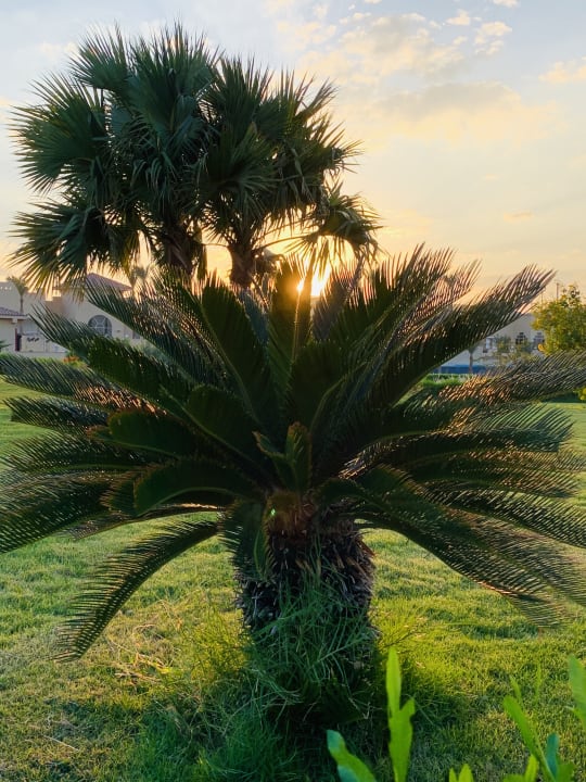 Gartenanlage Cleopatra Luxury Resort Makadi Bay