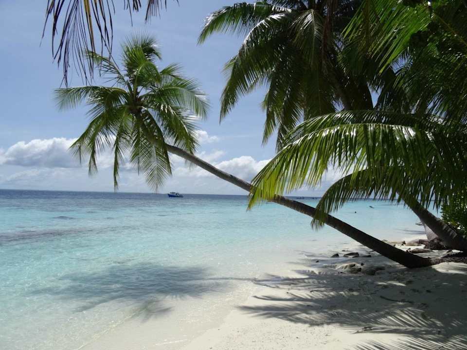 Außenansicht Vilamendhoo Island Resort & Spa