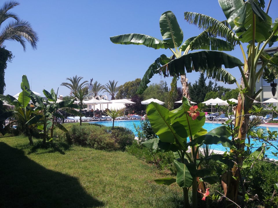 Вид из номера бунгало Aydinbey Gold Dreams