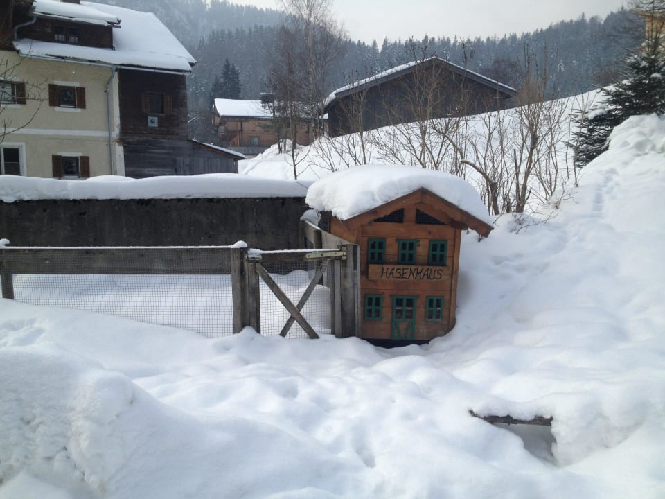 Das Hasenhaus  Pension Maier Schiestlhof