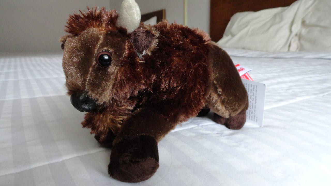 Plüschiger Bettgenosse, optional käuflich Mountain Modern Motel